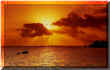 best deals and prices on maui